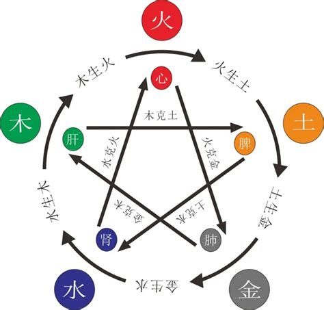 五行属木缺水|八字中的五行缺木水 (缺木的人戴什么最旺木)